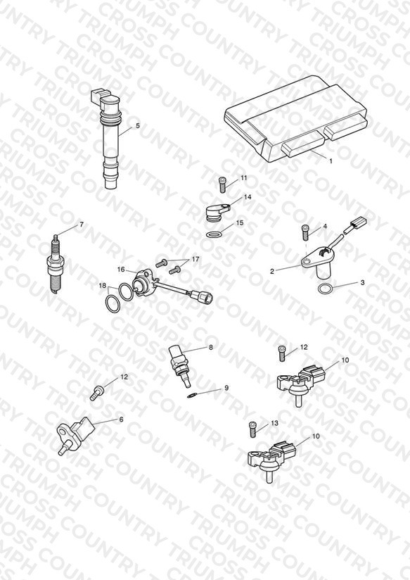 Engine Management System
