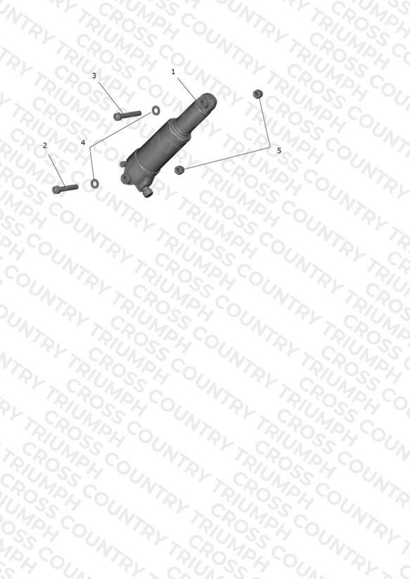 Rear Suspension Unit