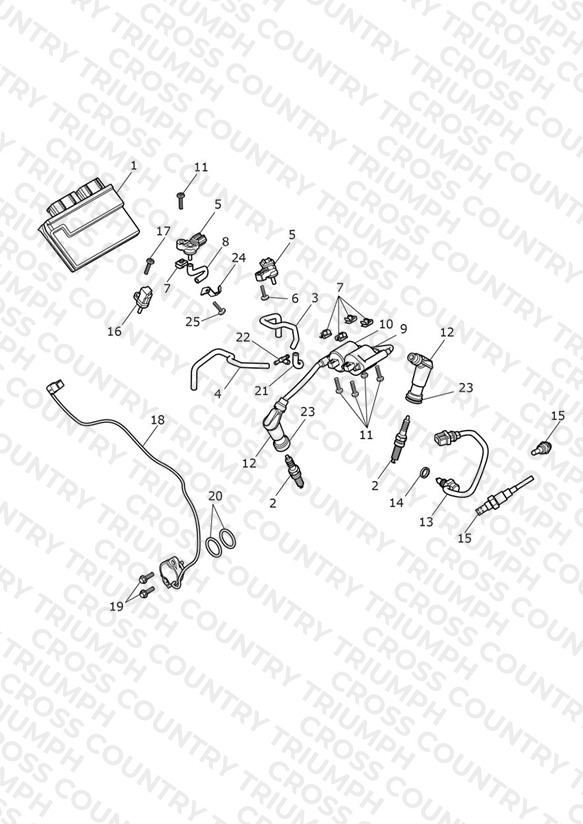 Engine Management System