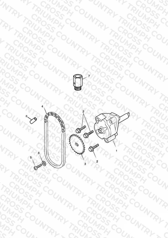 Oil Pump & Drive