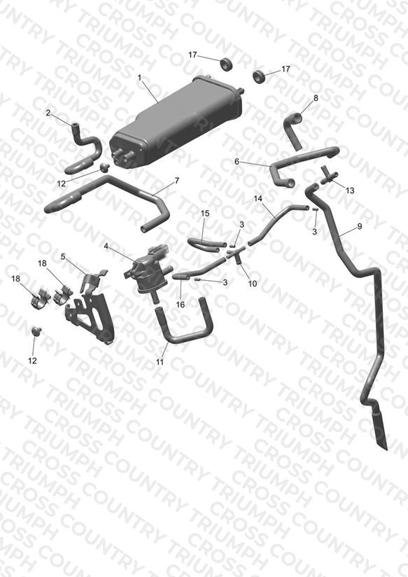 Evap System