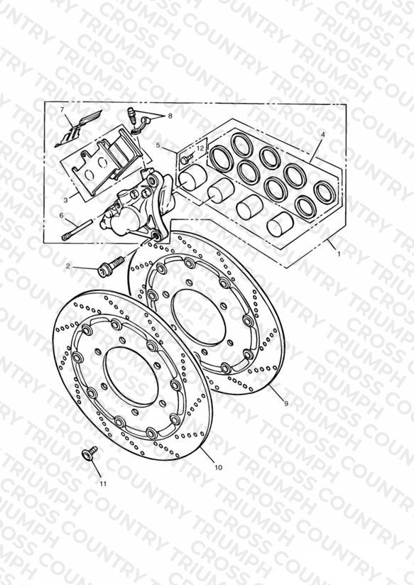 Front Brake Caliper and Discs