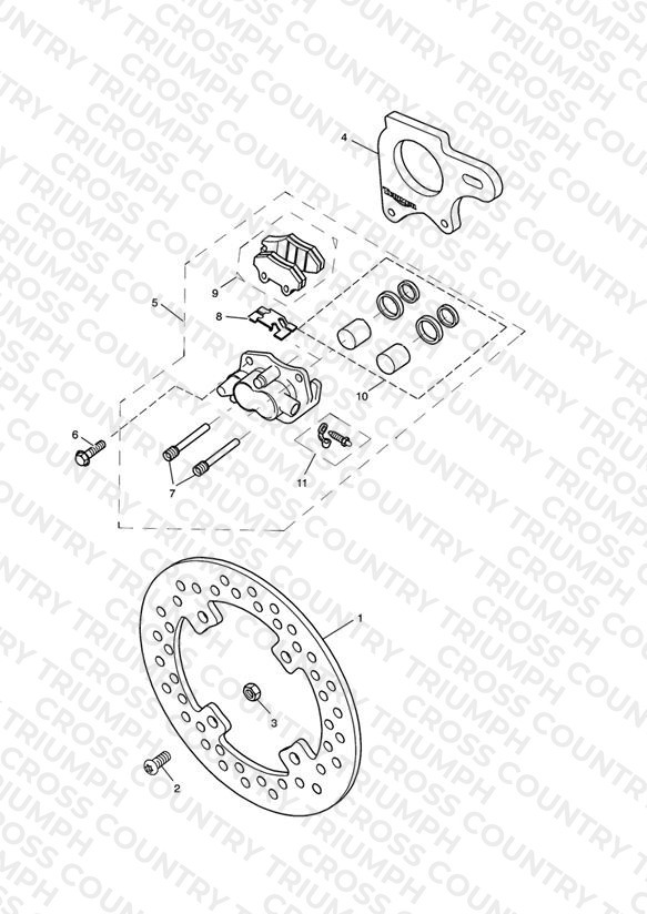Rear Brake & Disc