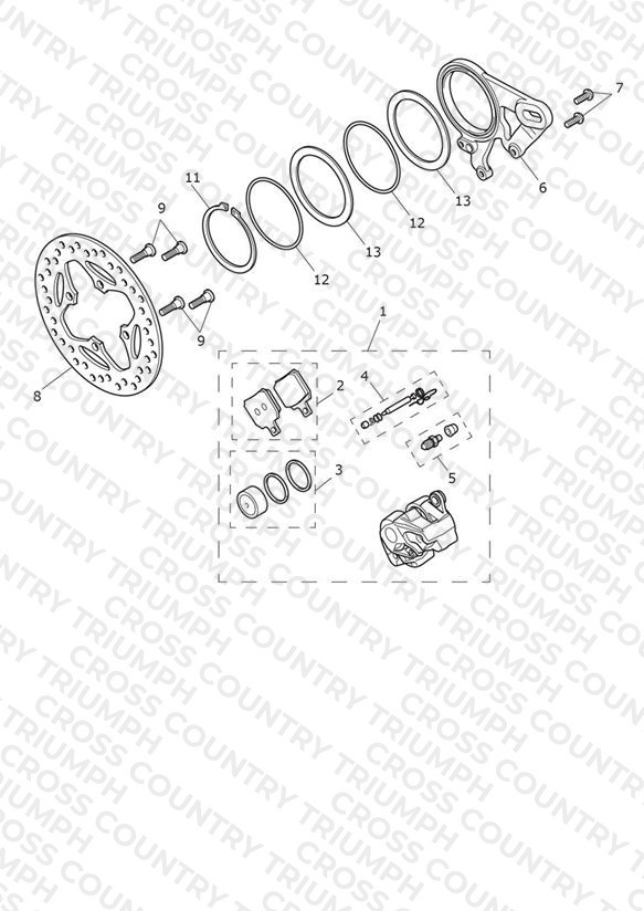 Rear Brake Caliper & Discs