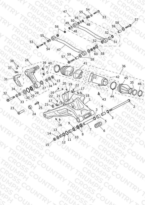 Swinging Arm Assembly