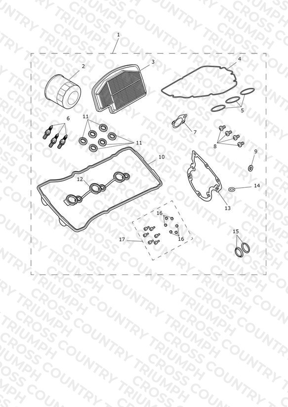 Engine Service Kit
