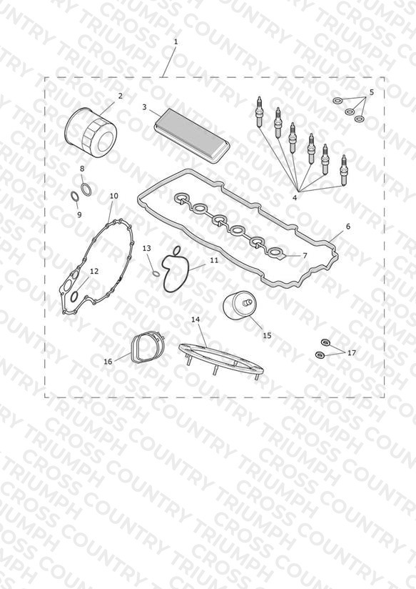 Engine Service Kits