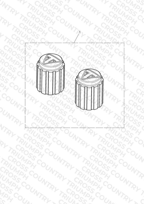 Valve Cap Kit, Laser Etch, Black