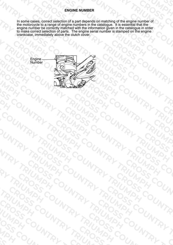 Daytona 675R from 564948