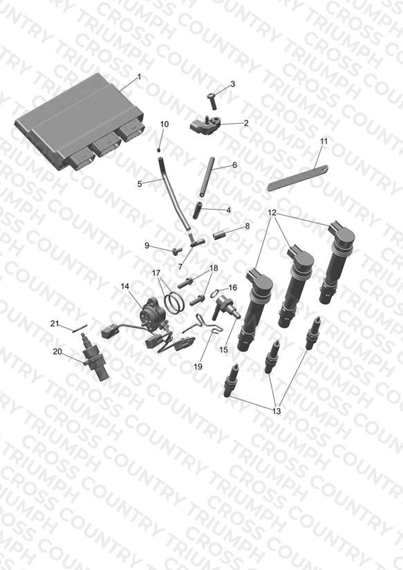 Engine Management
