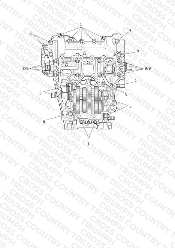 Crankcase Bolts
