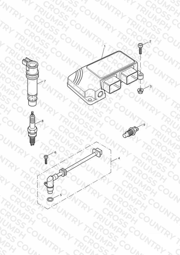 Engine Management System