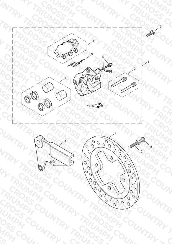 Rear Brake Caliper & Disc