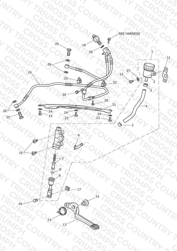 Rear Brake Master Cylinder, Reservoir & Pedal