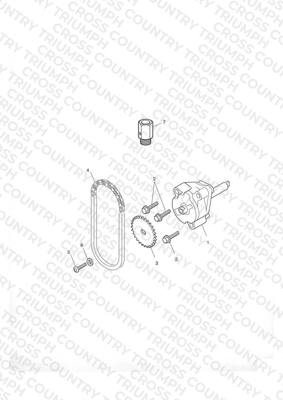 Oil Pump & Drive