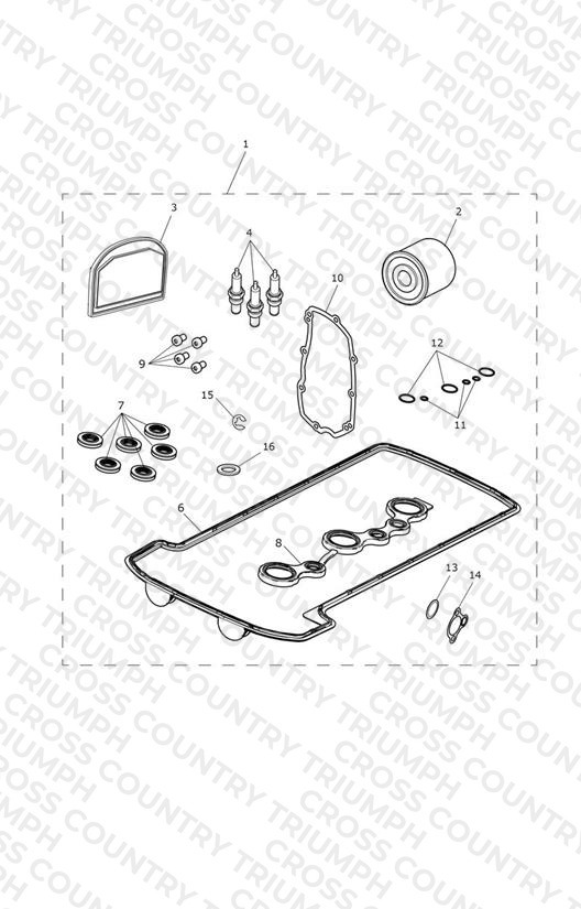 Engine Service Kit