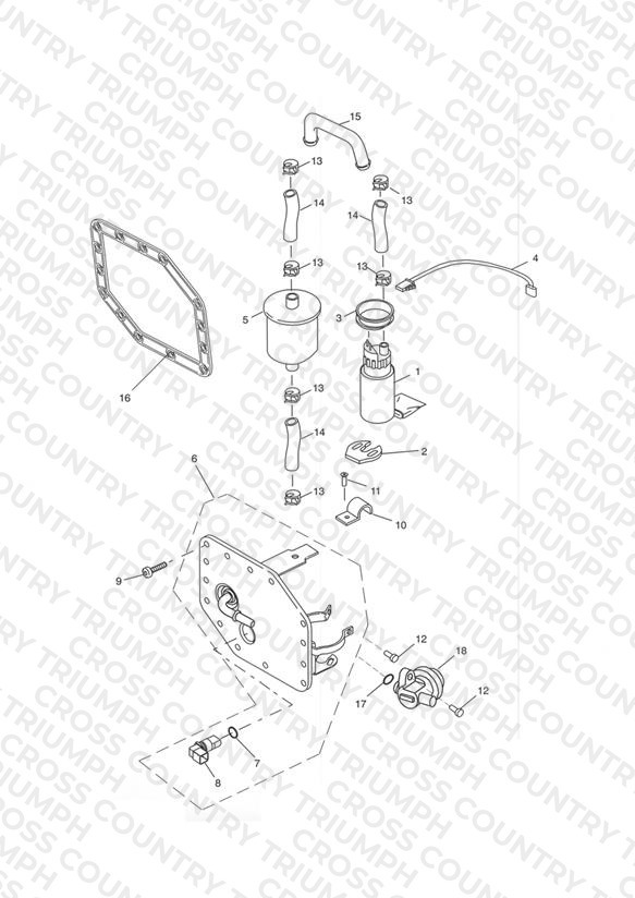 Fuel Pump and Filter 207555 >