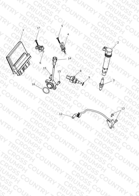 Engine Management System