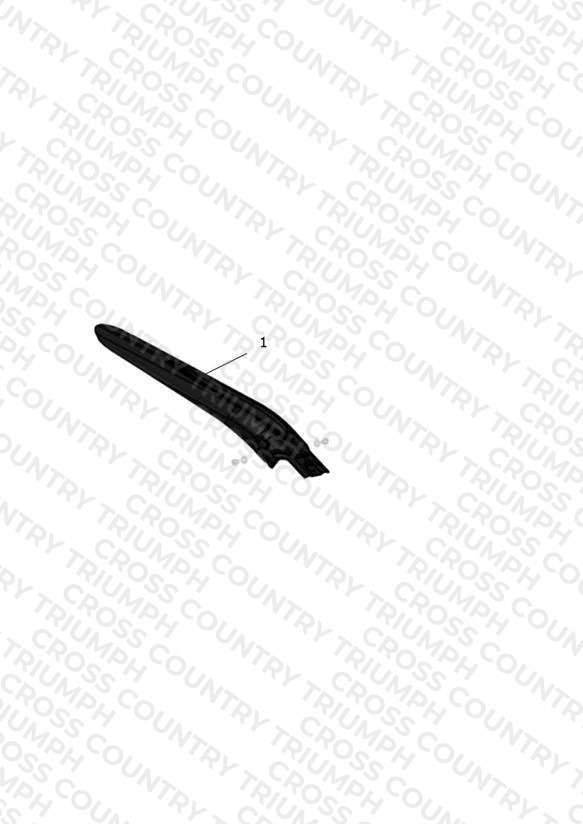 Rear Mudguard