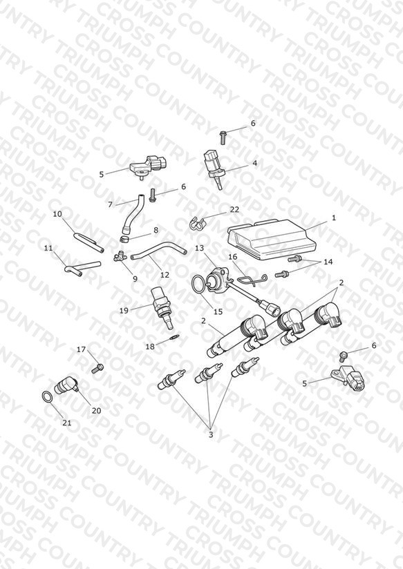 Engine Management System