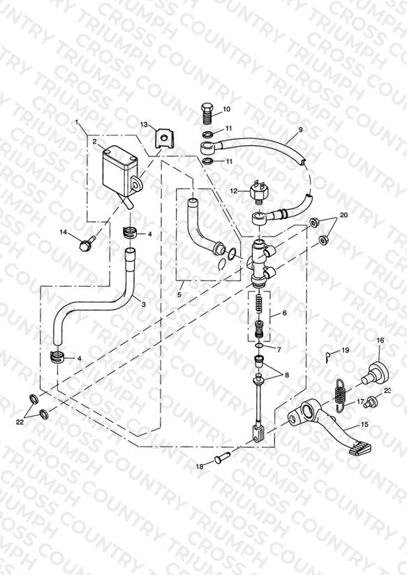 Rear Brake Master Cylinder, Reservoir & Pedal