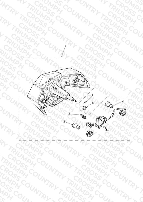Rear Light (Inc Rear Indicators)