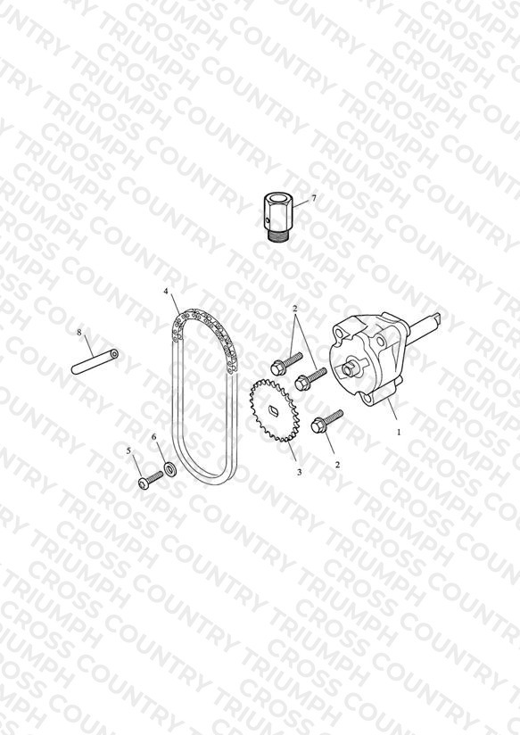 Oil Pump & Drive
