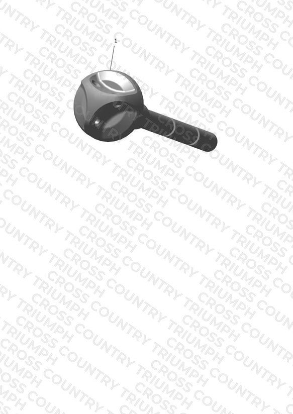 Oil Dipstick, Black