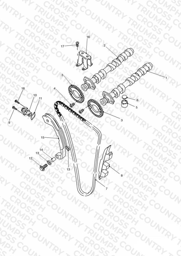 Camshaft and Drive