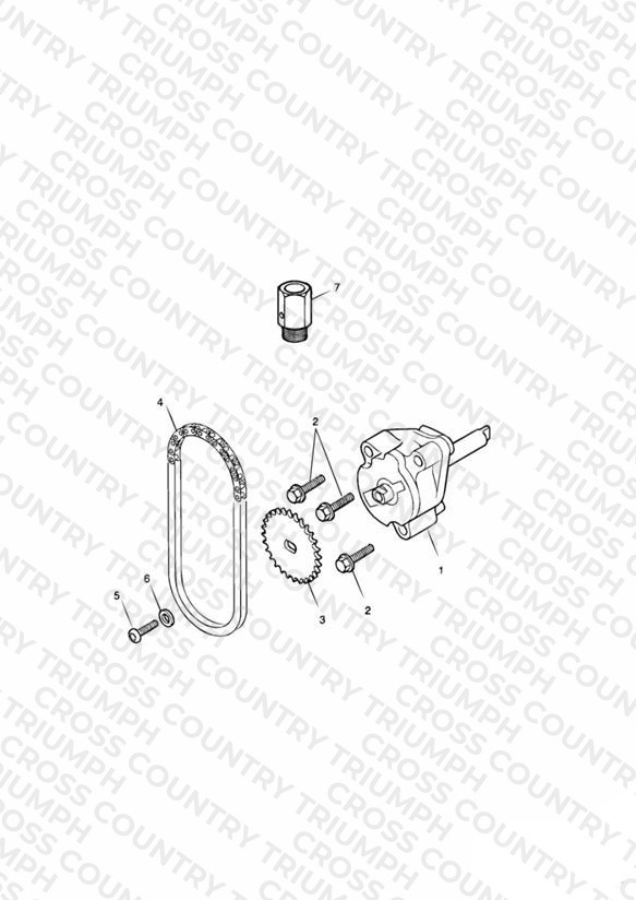 Oil Pump/Drive