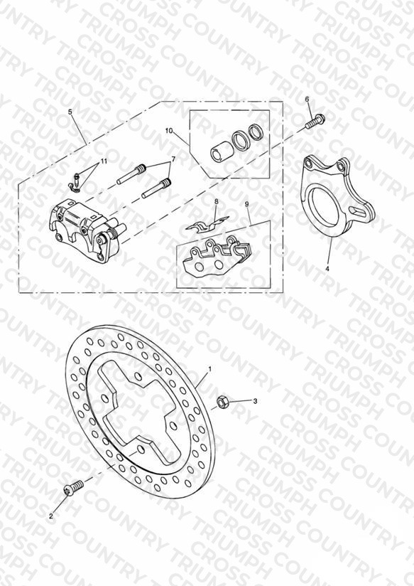 Rear Brake Disc and Caliper