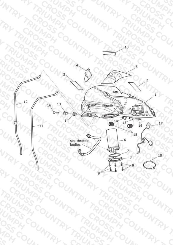 Fuel Tank, Fuel Pump & Fittings