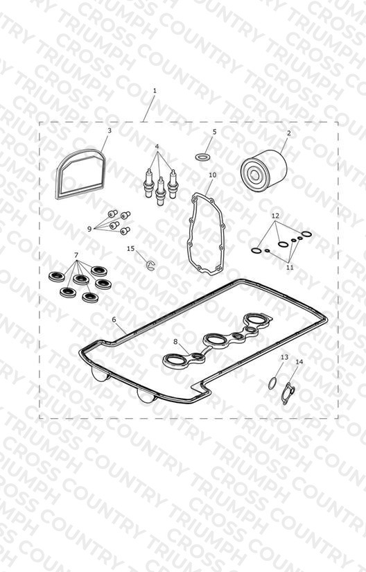 Engine Service Kit