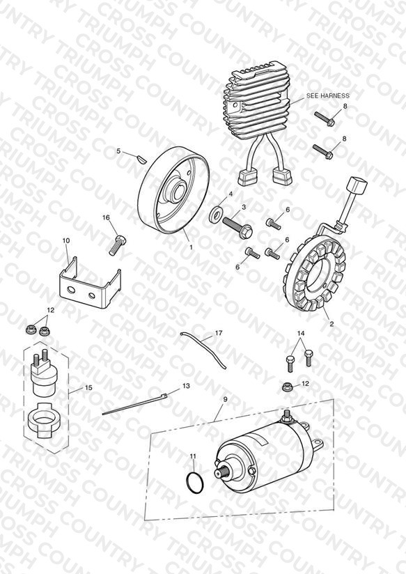 Starter & Alternator