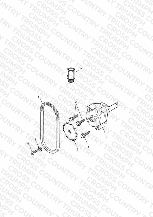 Oil Pump/Drive