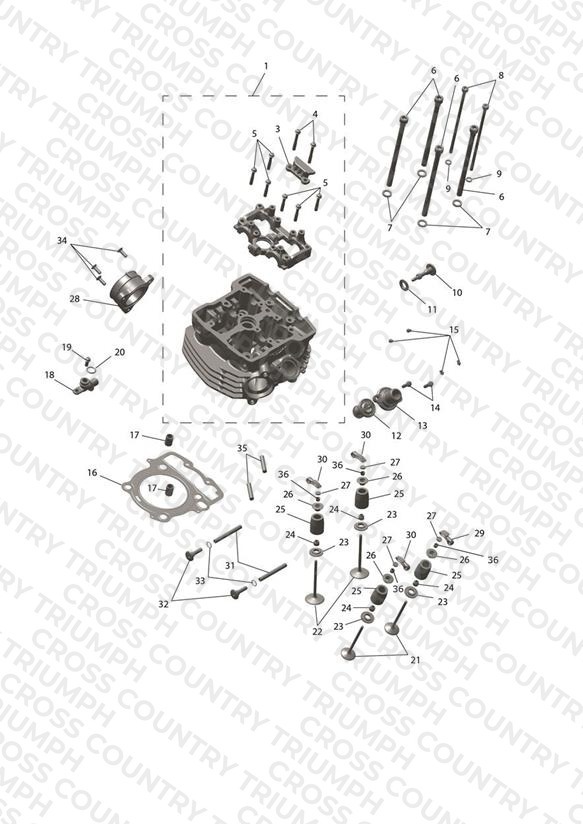Cylinder Head & Valve Drive