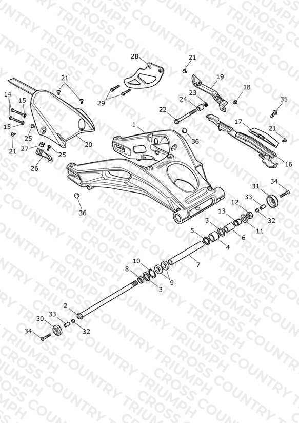 Rear Swingarm