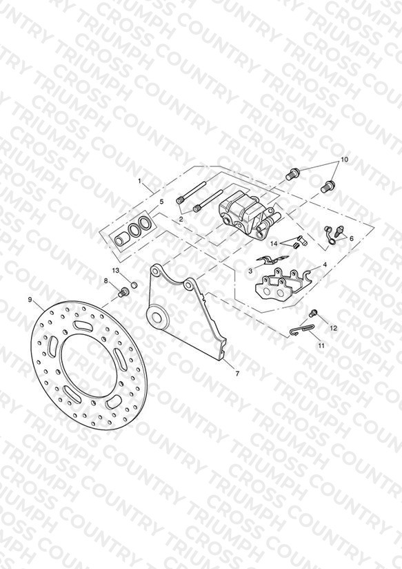 Rear Brake Caliper & Disc