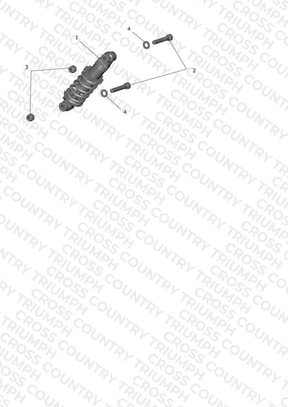 Rear Suspension Unit