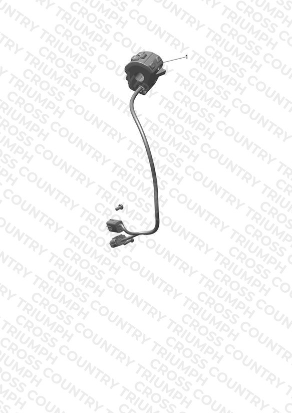 Cruise Control Kit, Non DRL