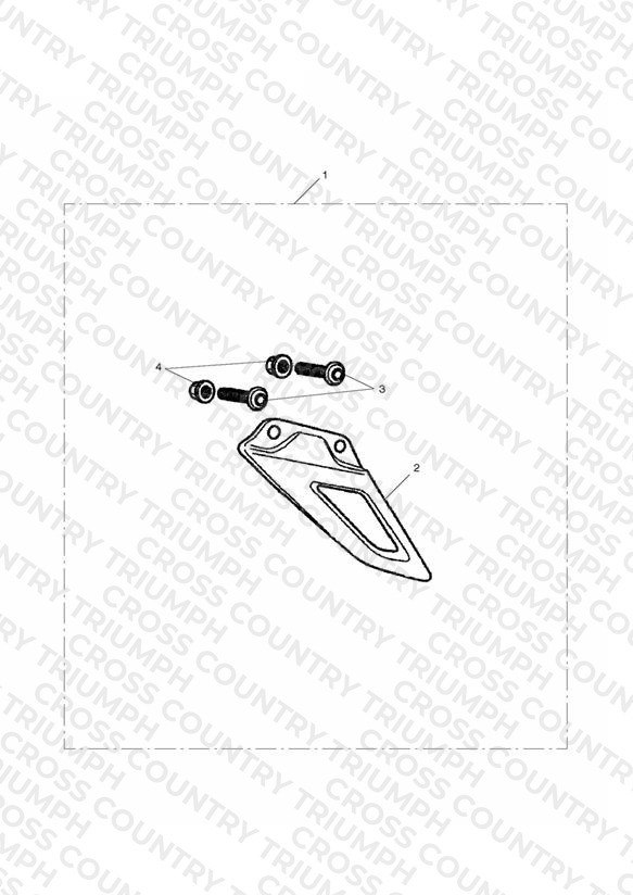 Low Chain Guard, Carbon Fibre