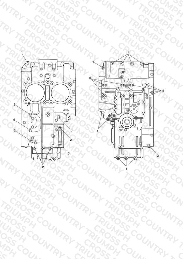CrankCase Bolts