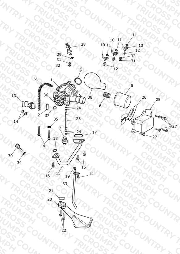 Oil Pump Drive