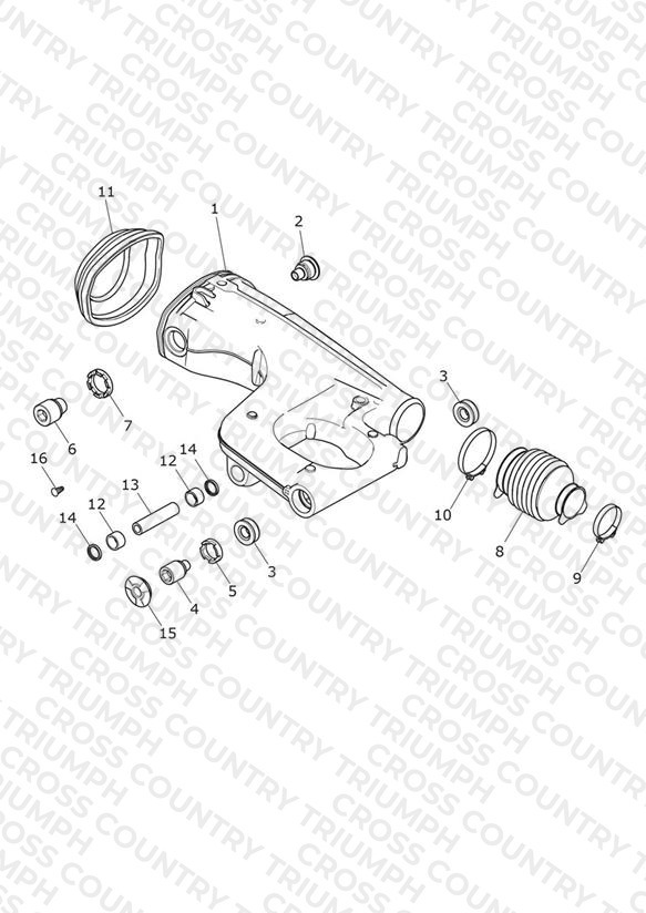 Rear Swingarm
