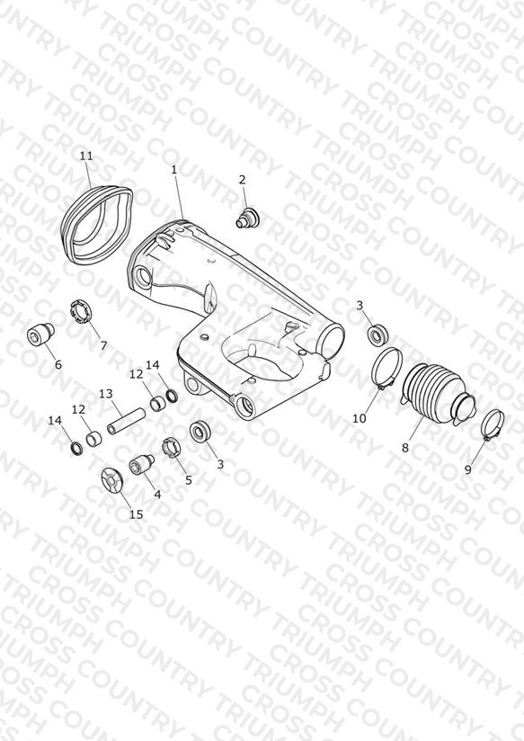 Rear Swingarm