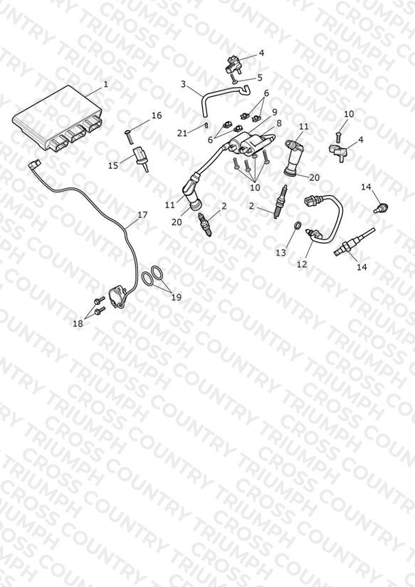Engine Management System