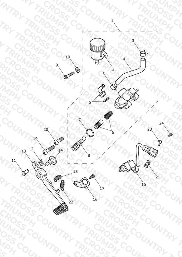 Rear Brake Master Cylinder, Reservoir & Pedal