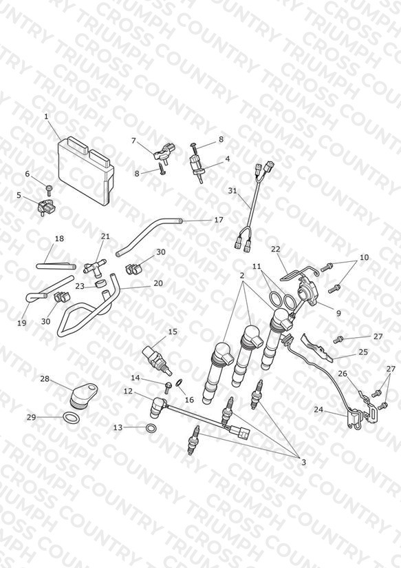 Engine Management System
