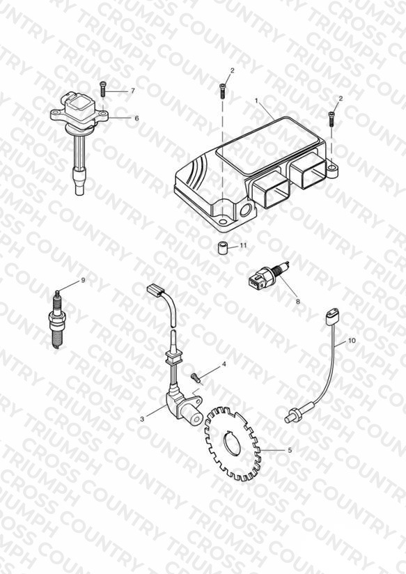 Engine Management System