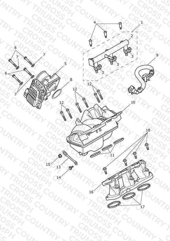 Throttle Bodies